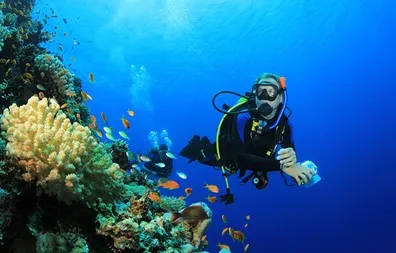 Marele Acvariu din Hurghada